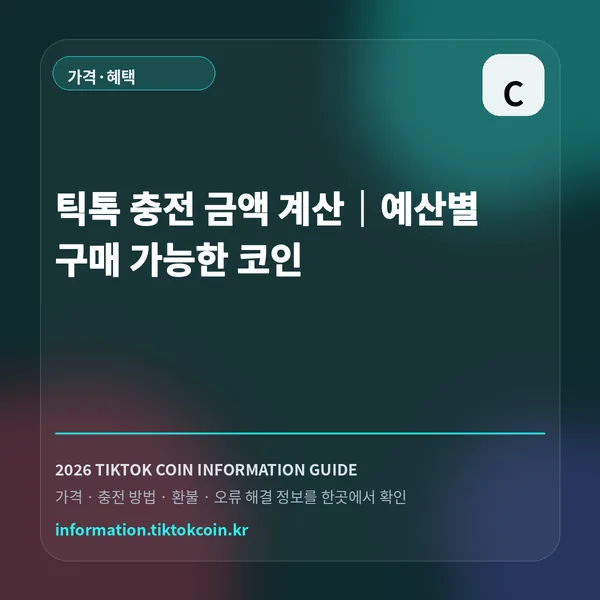 틱톡 충전 금액 계산|예산별 구매 가능한 코인 대표 이미지